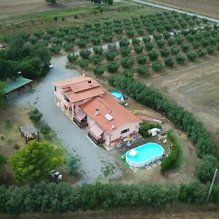 Villa Ilboschetto Magnolia Albinia Exterior foto