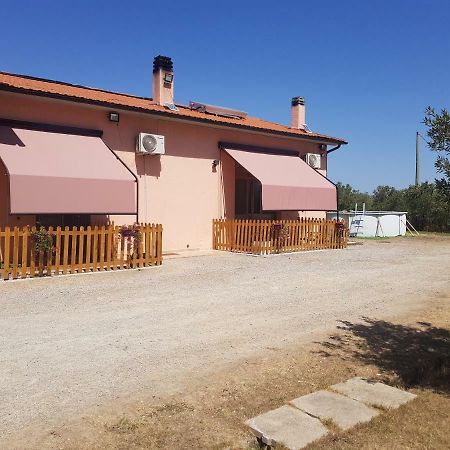 Villa Ilboschetto Magnolia Albinia Exterior foto